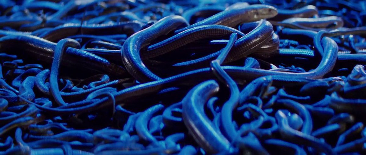 Cinema Connoisseur tweet media