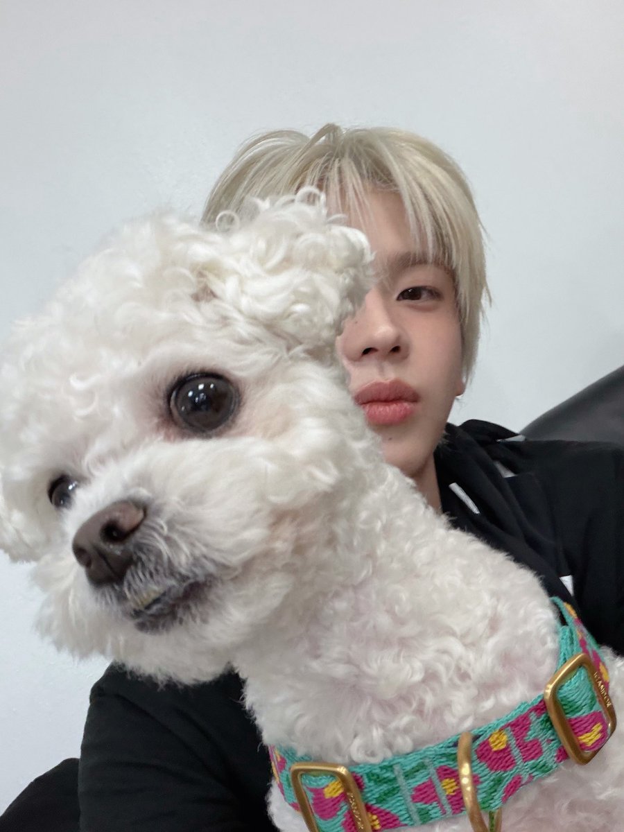 ່ (@yuonly_) / Posts / X