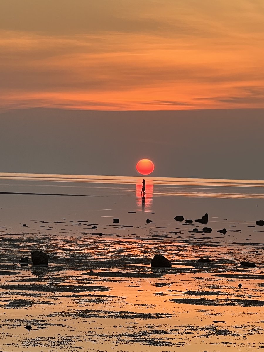 Molly Jones tweet media