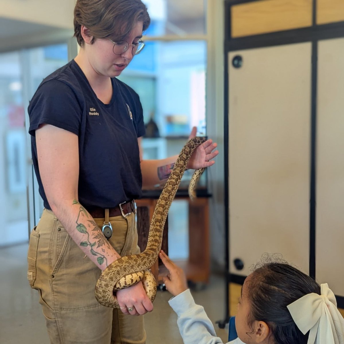 kcpublicschools's tweet image. Pitcher Elementary took "field trip" literally and took to the outdoors at the Anita B Gorman Conservation Discovery Center!
They learned about conservation and the ways animals adapt in the wild, even getting to go hands-on with a live example! 🐍
#FieldTrip #Conservation #KCPS