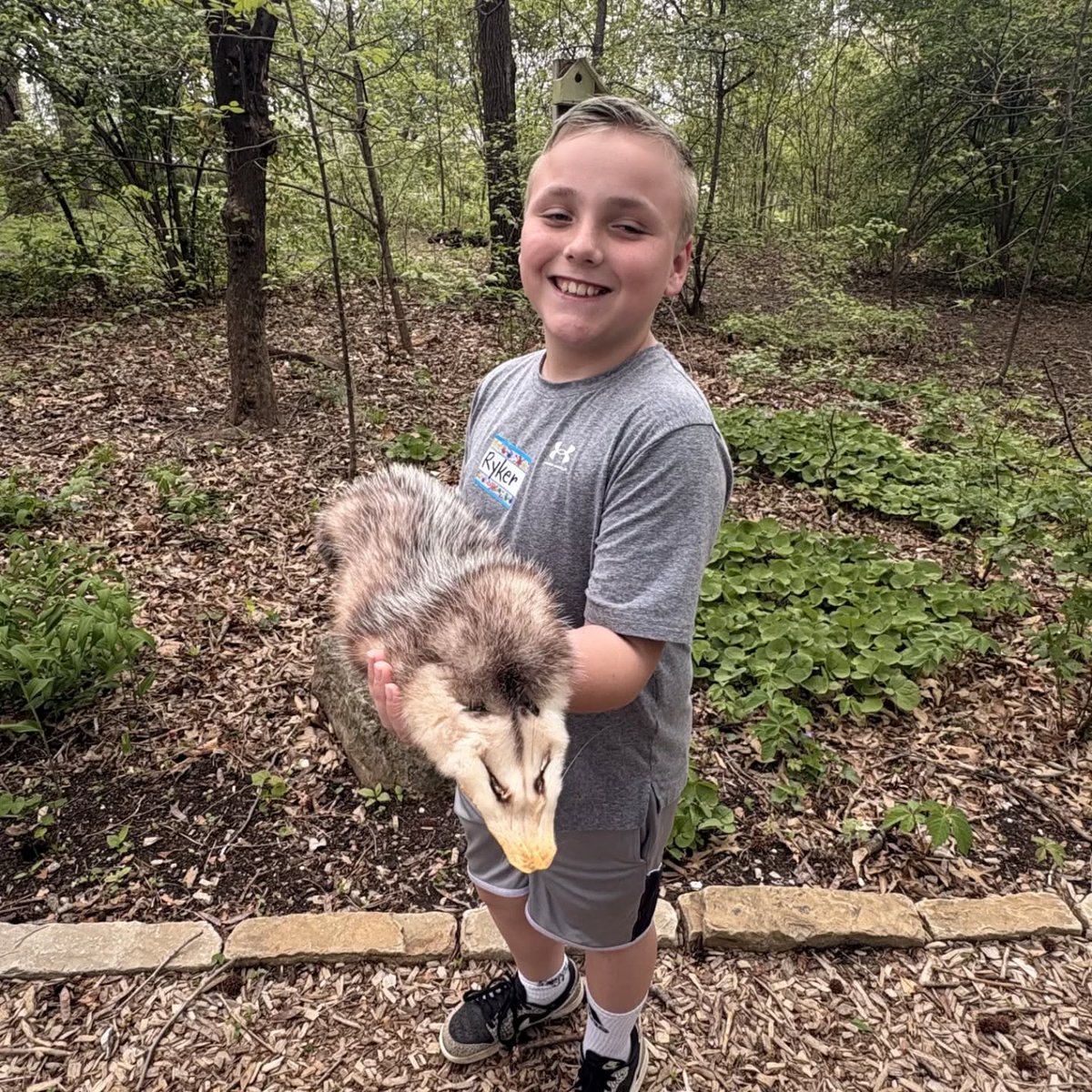 kcpublicschools's tweet image. Pitcher Elementary took "field trip" literally and took to the outdoors at the Anita B Gorman Conservation Discovery Center!
They learned about conservation and the ways animals adapt in the wild, even getting to go hands-on with a live example! 🐍
#FieldTrip #Conservation #KCPS