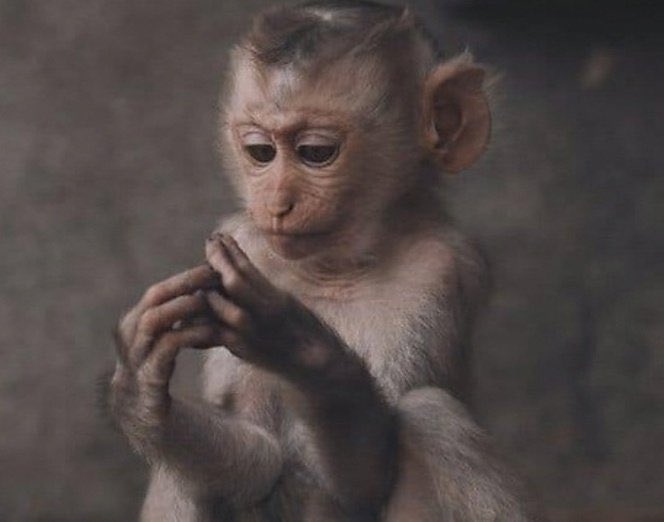 Her_Favorite_Girl tweet media