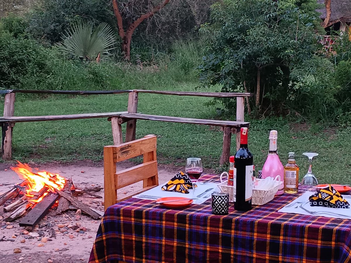 Woodland_Lodge's tweet image. Evenings at Hornbill Bush Lodge  Murchison Falls area are best spent by the fire.
📩 info@woodlandlodgesug.com
📞 +256 0702 747 758

#Hornbillbushlodge #Woodlandlodges #Campfire #Safariexperience #Visituganda