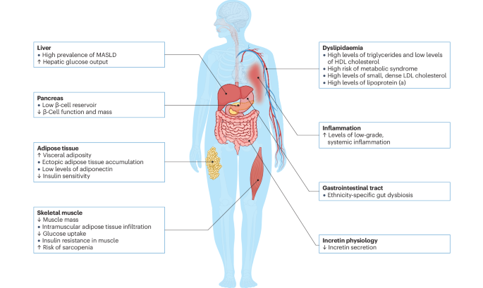 NatureRevEndo's tweet photo. New content online: Clinical obesity in Asian people: bridging the gap between adiposity and disease https://t.co/SwM275MTdI https://t.co/KOj3ao5IGP
