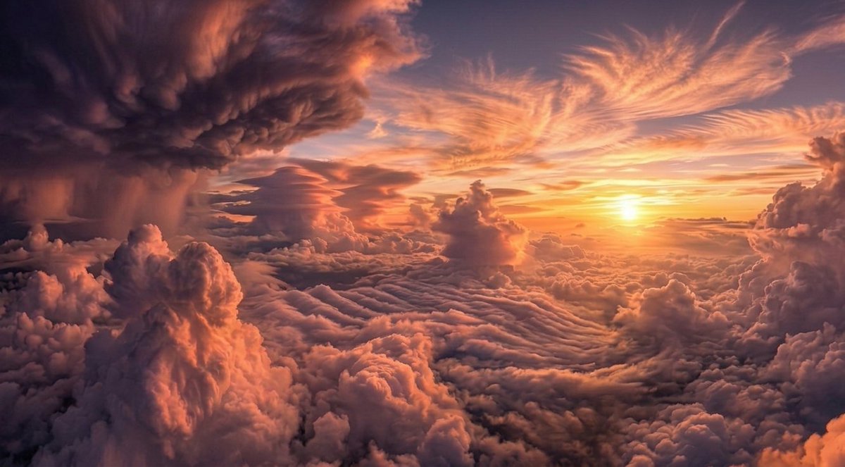 별이반짝🌟 tweet media