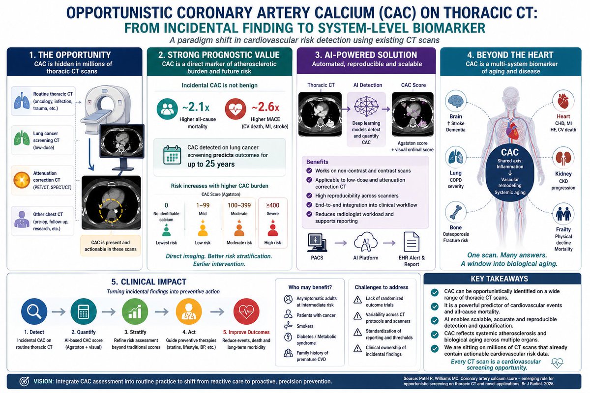 Coronary artery calcium (CAC) is no longer just a cardiac imaging metric—it is rapidly emerging as a system-level biomarker and an untapped population screening tool.

A new review highlights how CAC can be opportunistically extracted from routine thoracic CT scans, including