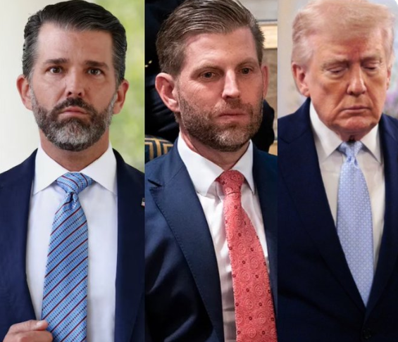 PoliticsVideoChannel tweet media