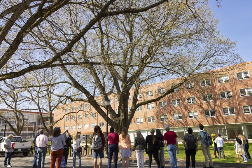 UMassAmherst's tweet image. There are more than 8,000 actively managed trees in the Waugh Arboretum. 🌳 Learn more about campus’s landscape for learning, research and exploration. Branch out at #FoundersDay 🌲 umass.edu/founders-day