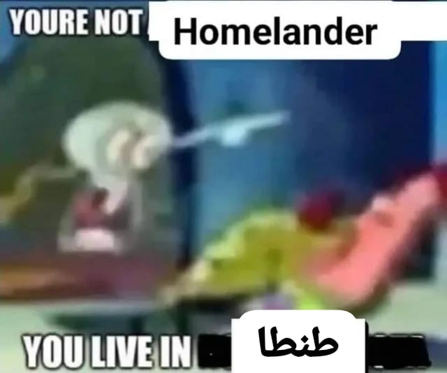 Cats mommy tweet media