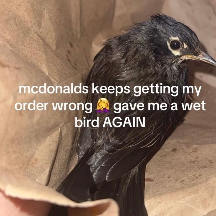 CAL 💚 tweet media