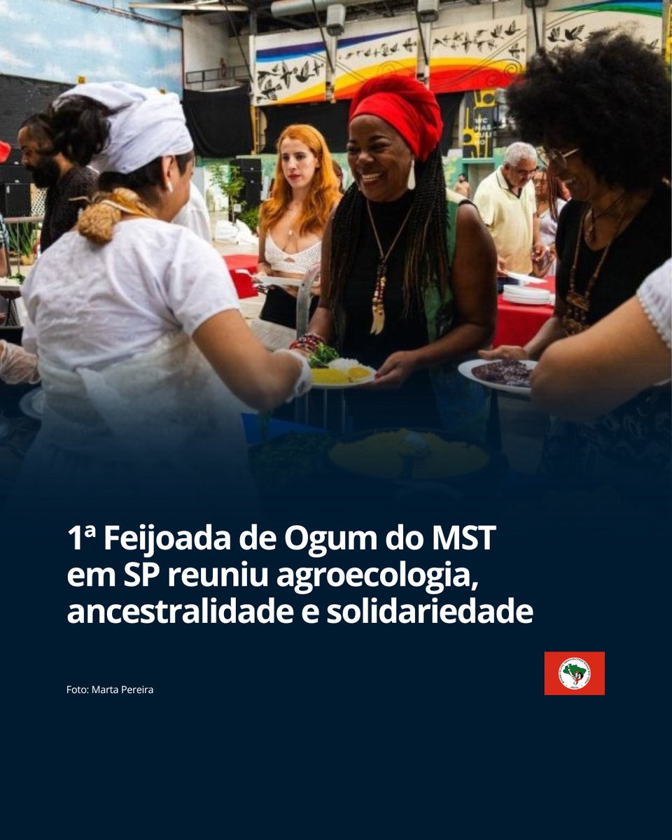MST Oficial tweet media