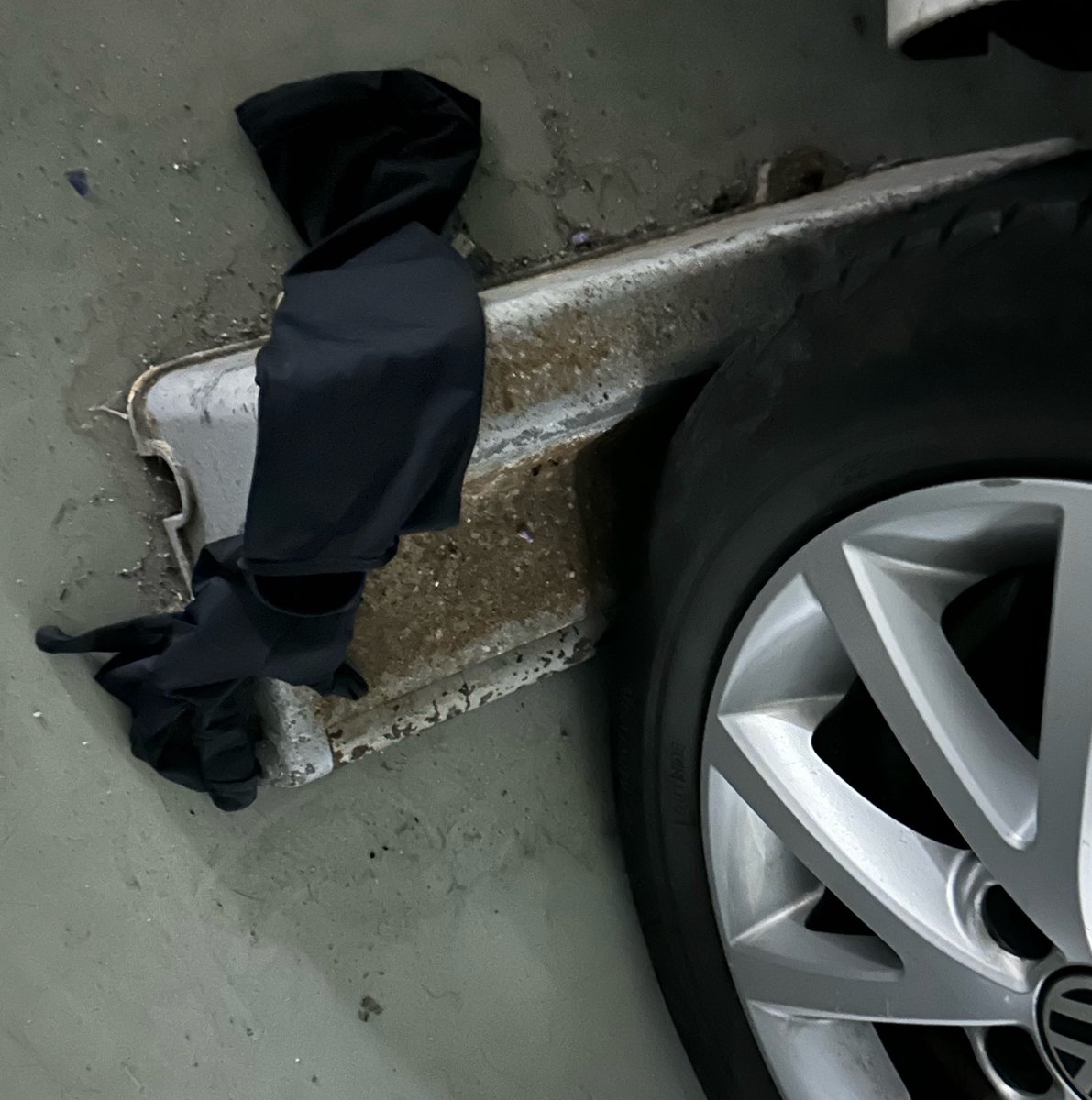 よーちゃん tweet media