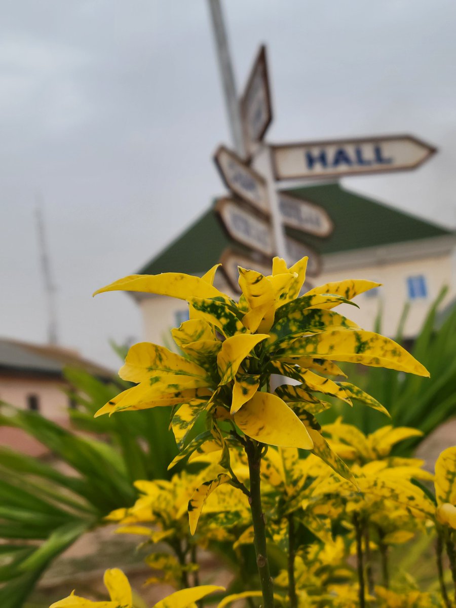 Abikoye Paul Oluwadamilare tweet media