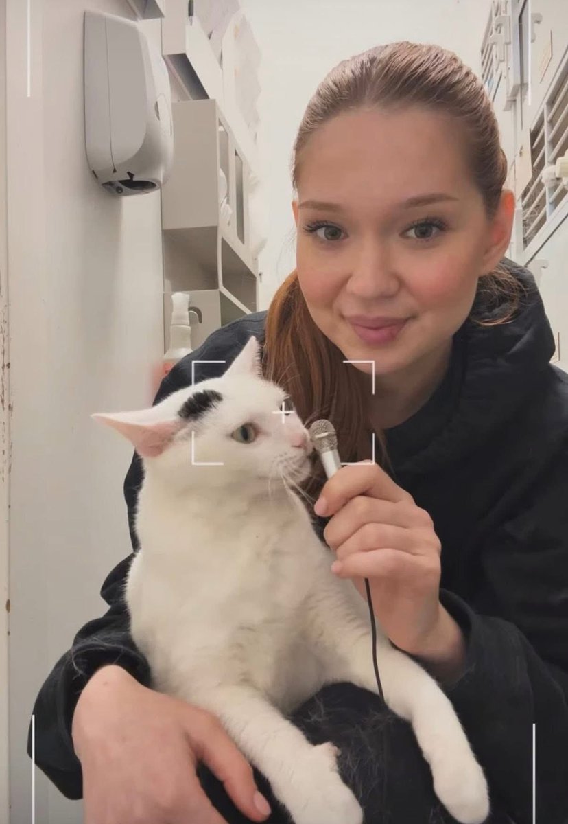 Jeremy’s world changed overnight when he lost the only home he had ever known. After his owner sadly passed away, there was no one left to care for him, and he suddenly found himself scared and homeless. That’s when we were contacted to bring him into our care, giving this