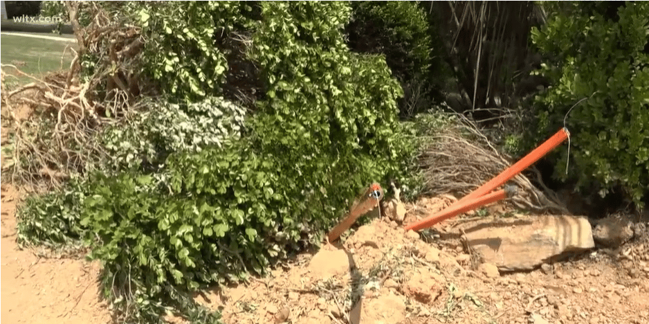 RodRadar tweet media