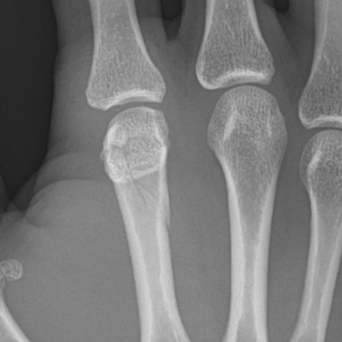 La Tía Sandra tweet media