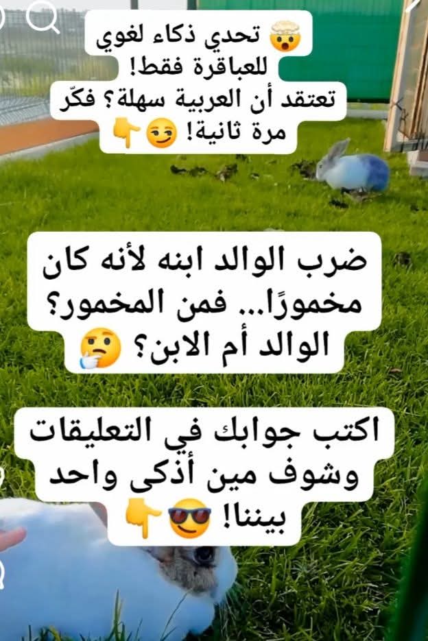 علي إسماعيل tweet media