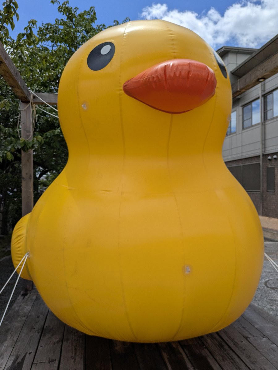 嘎~