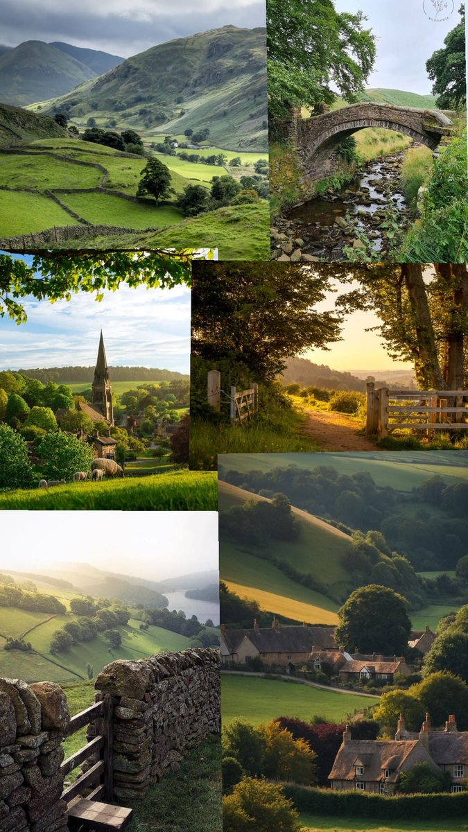 The English Remnant tweet media