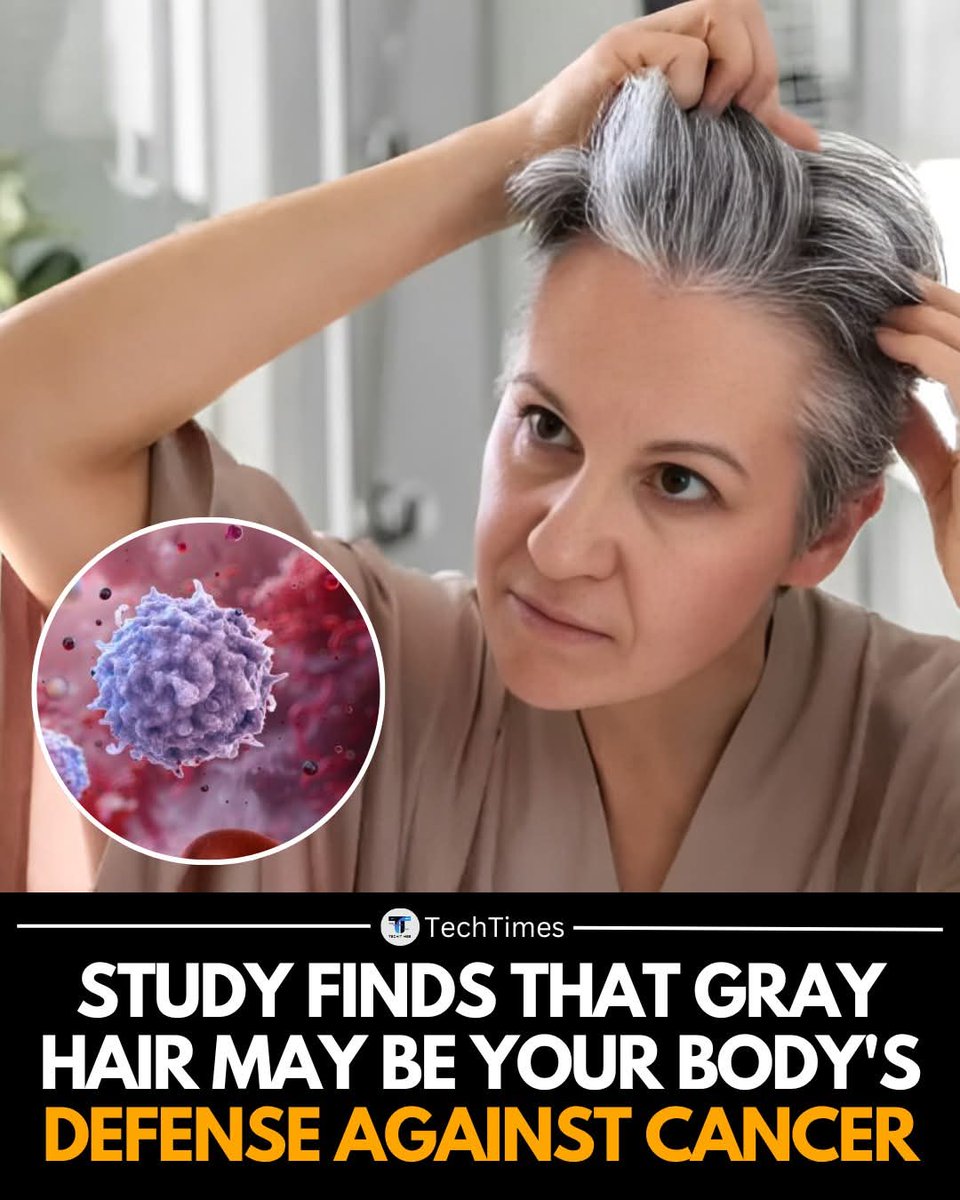 joe black tweet media