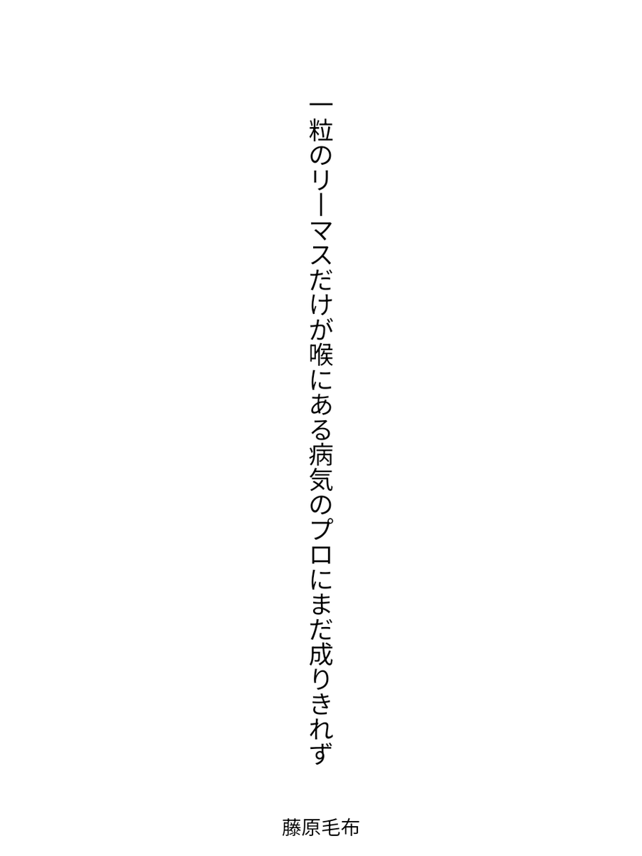 藤原毛布 tweet media