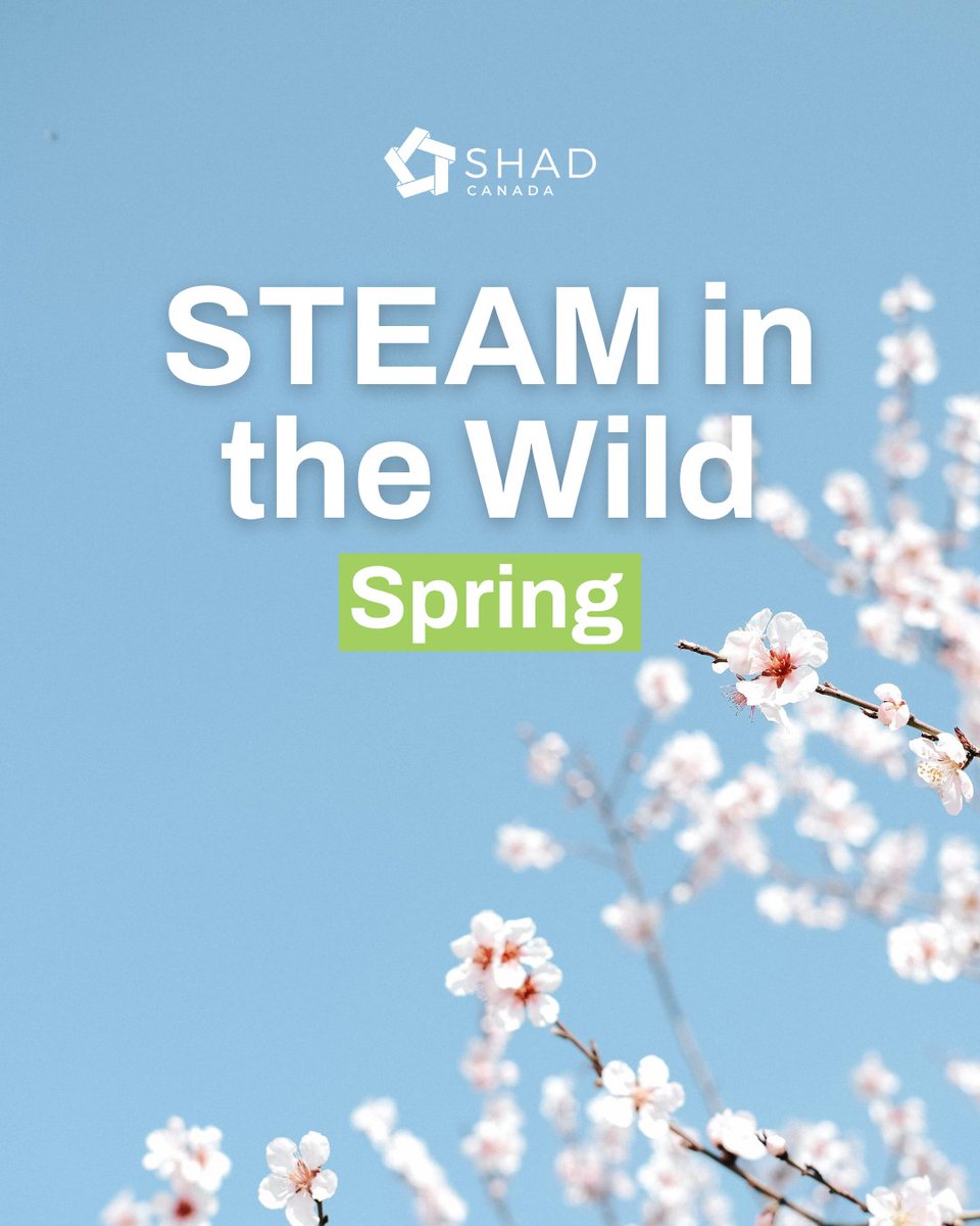 Shad Canada tweet media