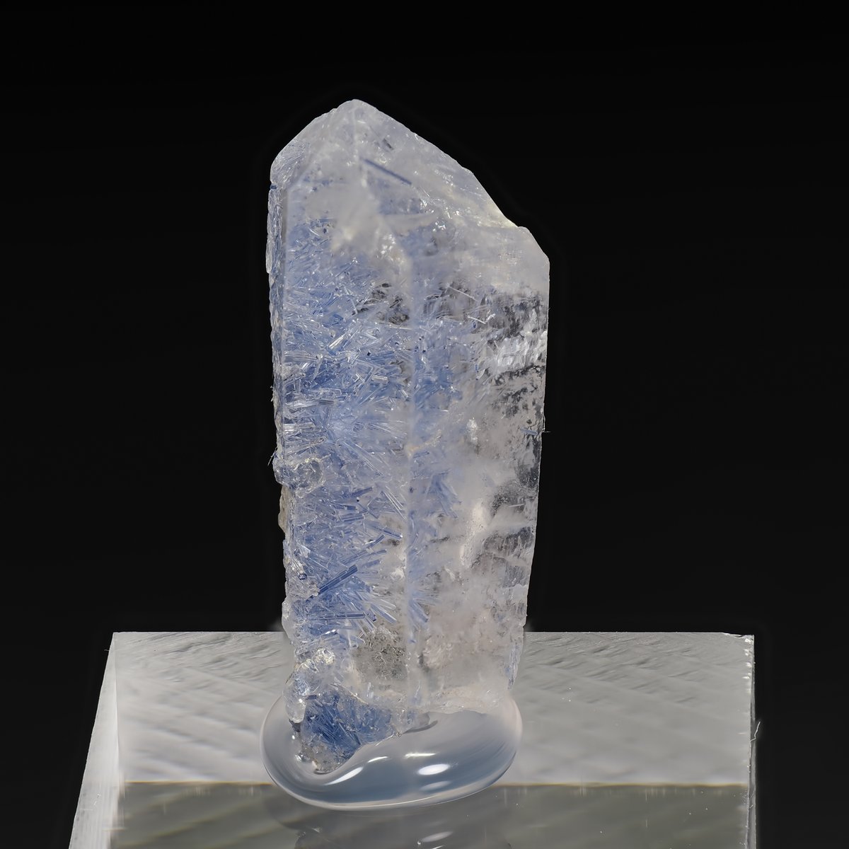 TAK（浅草石フリマ土曜 5/16 参加 6F P-11-12） tweet media