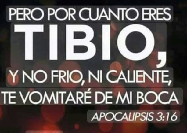 He ahí los nuevos representantes del fútbol dominicano. Nada que hacer. A decir verdad, ahí aplica el pasaje bíblico que está de moda sobre "Los Tibios" Apocalipsis 3: 16
Para defender al fútbol hemos sido tibios tod@s, queremos estar con Dios y con el otro. No hay forma.