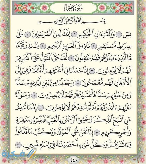 جمال tweet media