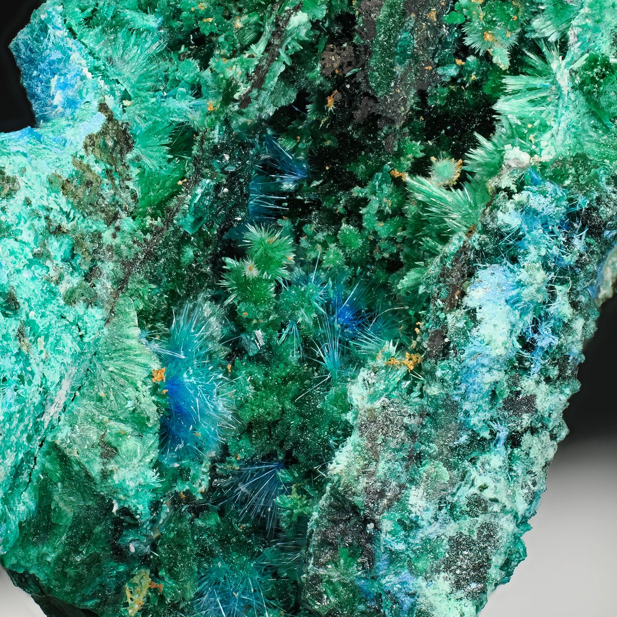 TAK（浅草石フリマ土曜 5/16 参加 6F P-11-12） tweet media