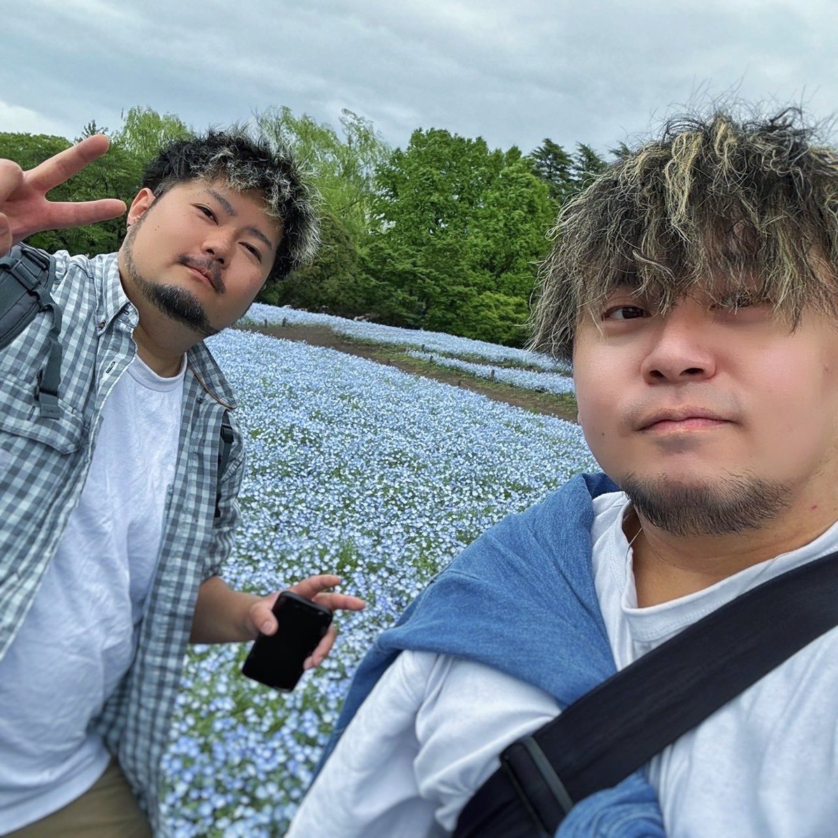 sotayan_'s tweet photo. 初めてネモフィラを見に行きました https://t.co/KcOewminOs