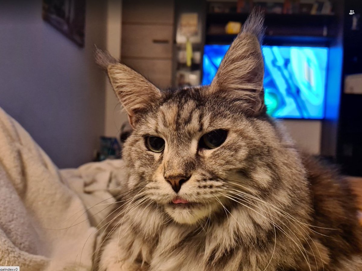 Marcus_mit_Zeh's tweet image. #mood