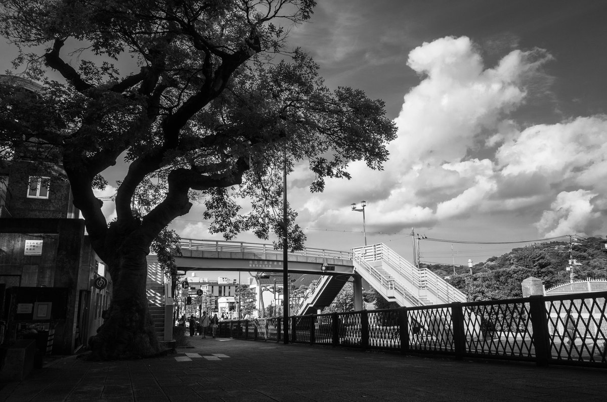 suna_keshi's tweet image. 『鎌倉』
#snapshot 
#monochrome 
#streetphotography