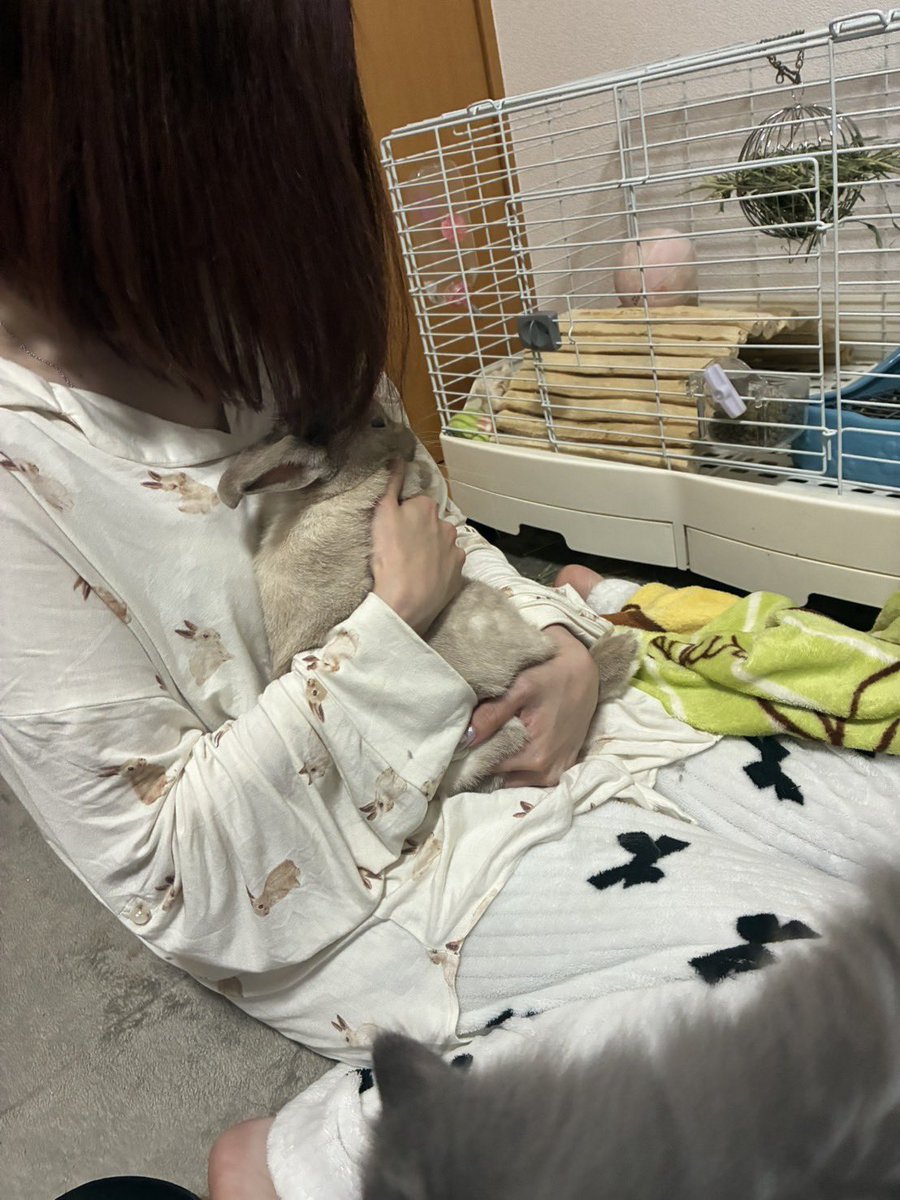 佐野エイナ🦋4月でコンカフェ引退 | ジャグ中毒 tweet media