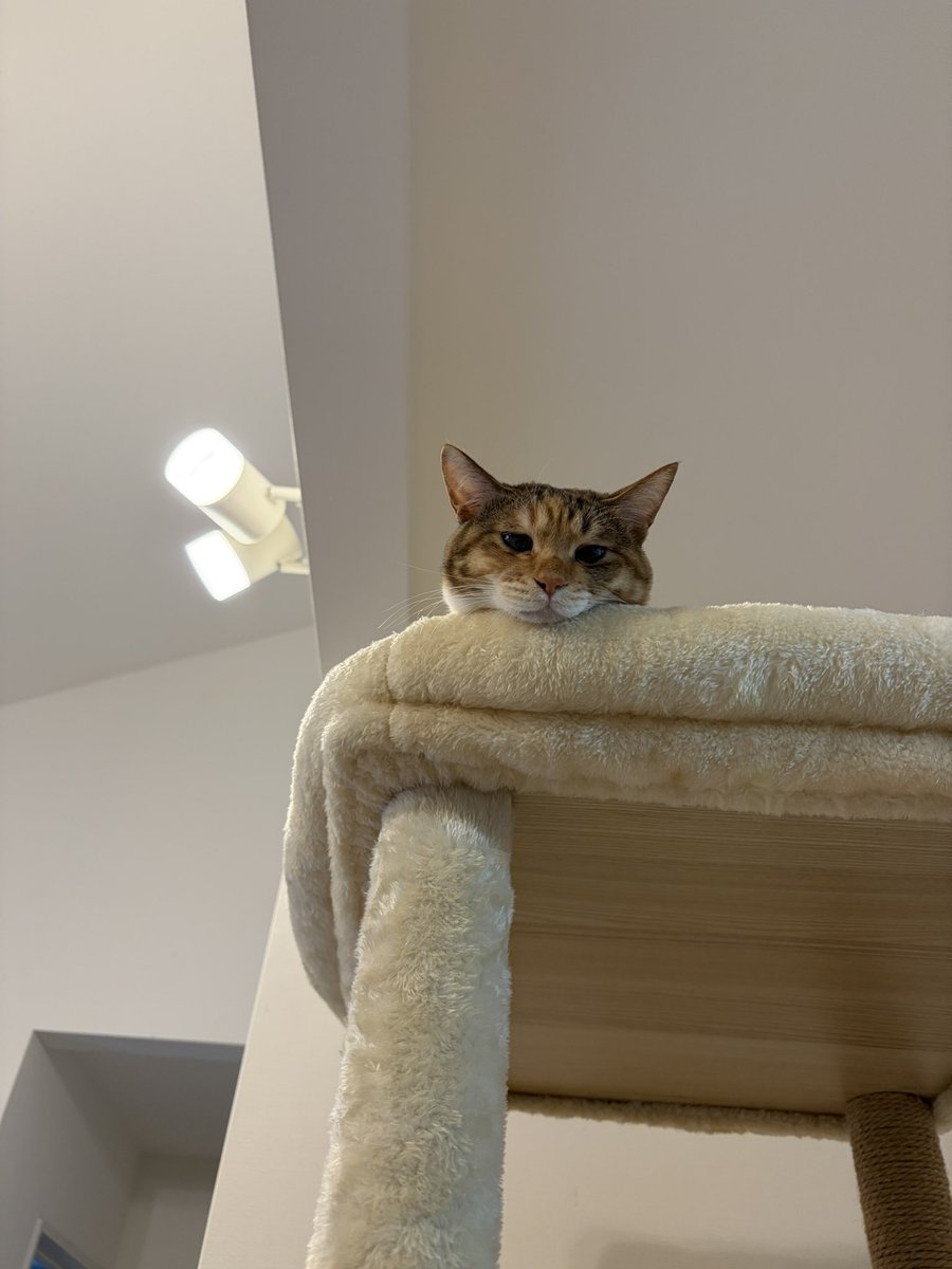 ゆんゆん☺︎ tweet media