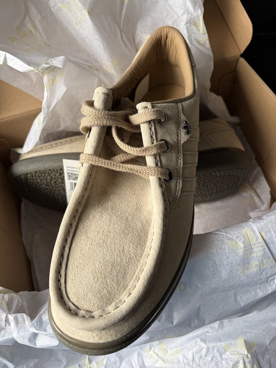 Stevo666 tweet media