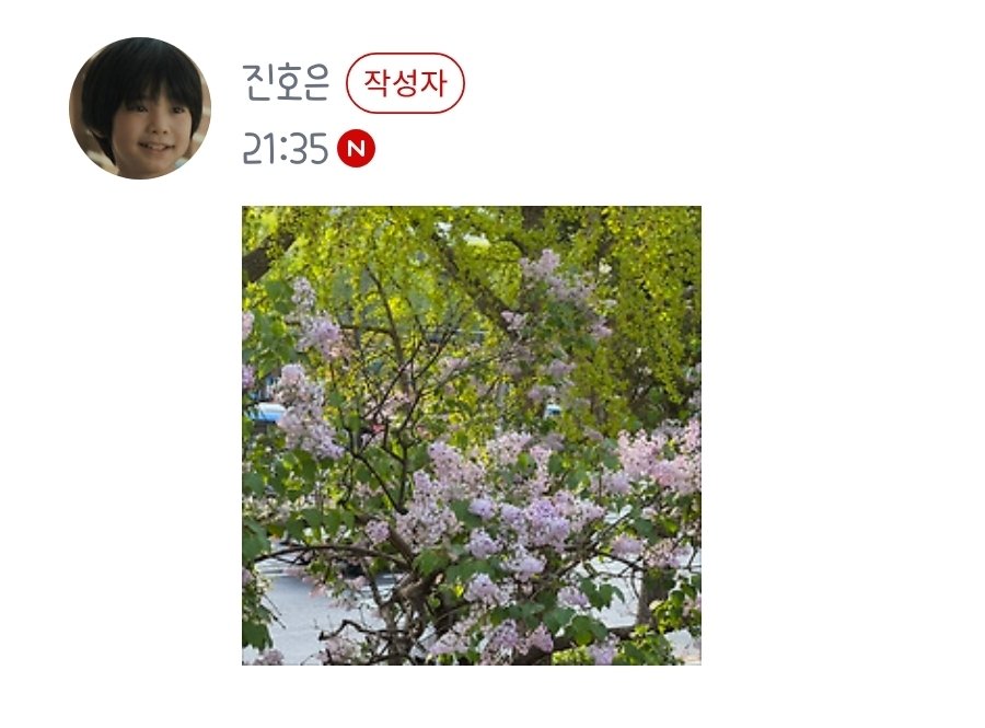 영희 tweet media