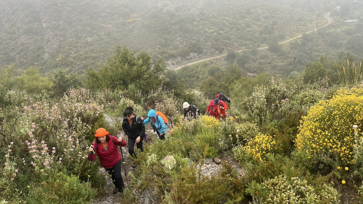 Senasogra's tweet photo. Hemos realizado una ruta por Lújar, donde fuimos por un camino romano y una vereda estrecha, el día estuvo un poco lluvioso y disfrutamos del olor a humedad y la vegetación mojada. @DipgraDXT @dipgra @fedamon @ASOGRA_ https://t.co/k69wvjAYab