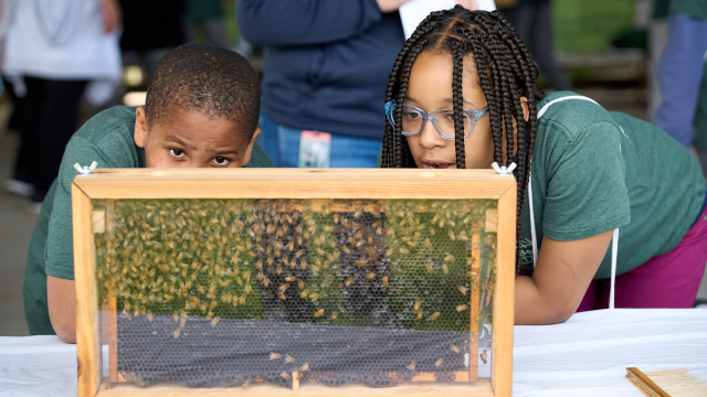 okquee's tweet image. Toyota’s Commitment to Youth Leadership and Environmental Stewardship: Supporting Jane Goodall’s Roots &amp;amp; Shoots Program in 2025 #Toyota #ToyotaEmployee onetoyota.co/4tzpF42