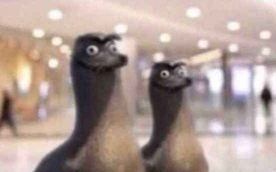 جلجلينه جولي tweet media