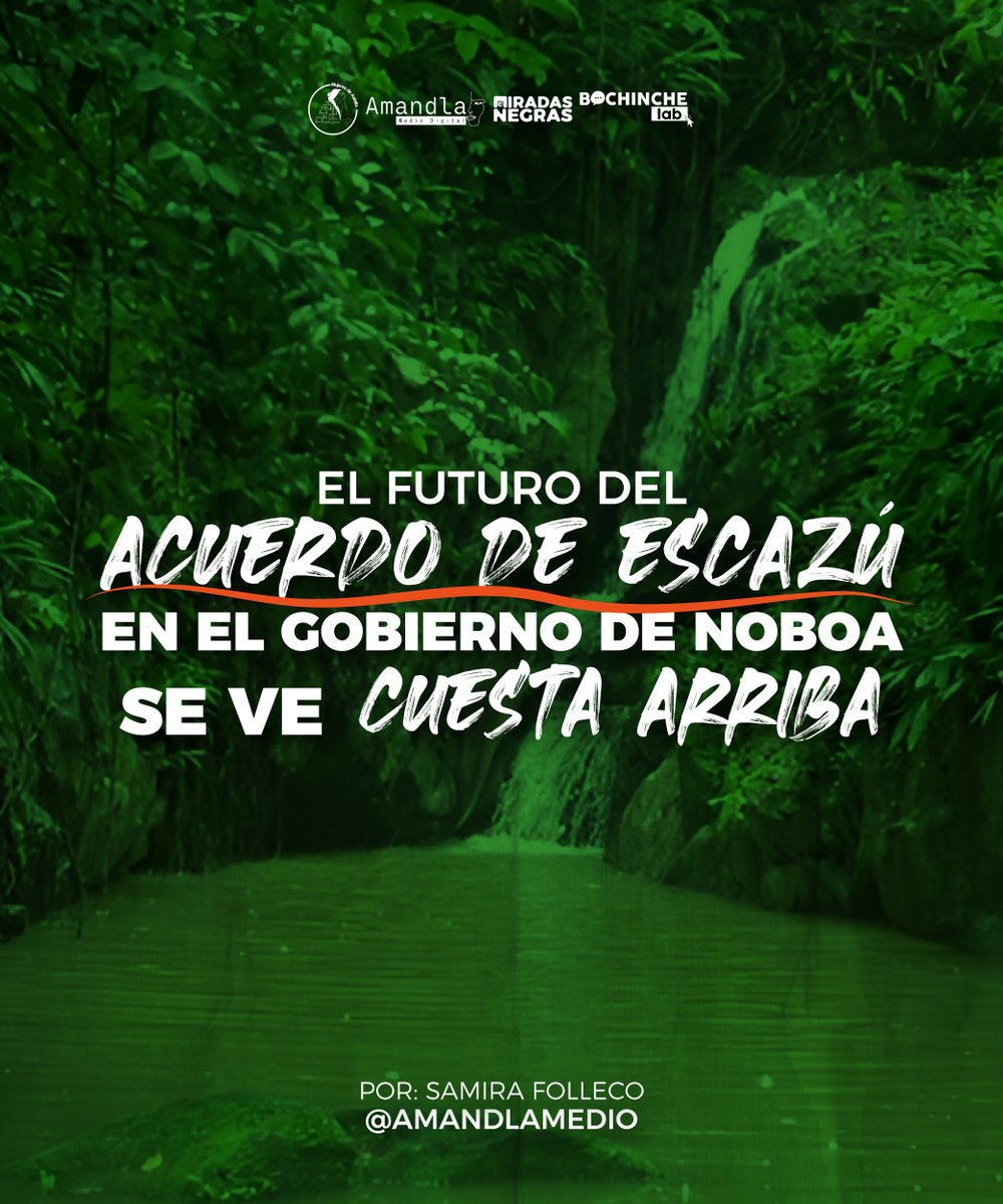 Amandla Medio Digital tweet media