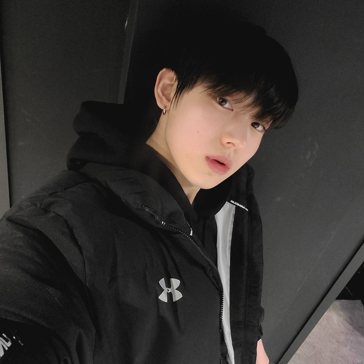 도로시 tweet media