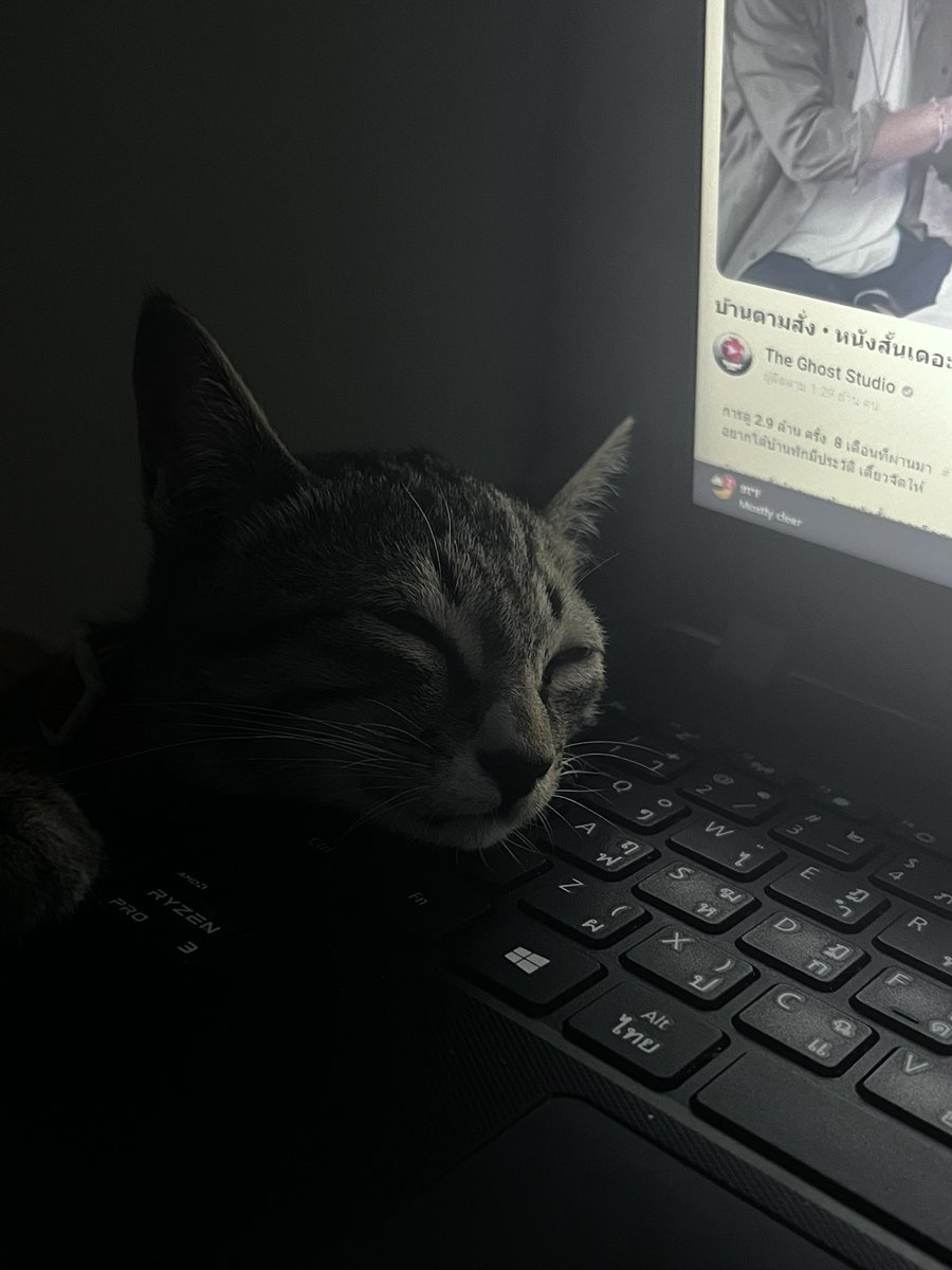채리린⌛️🩶 tweet media
