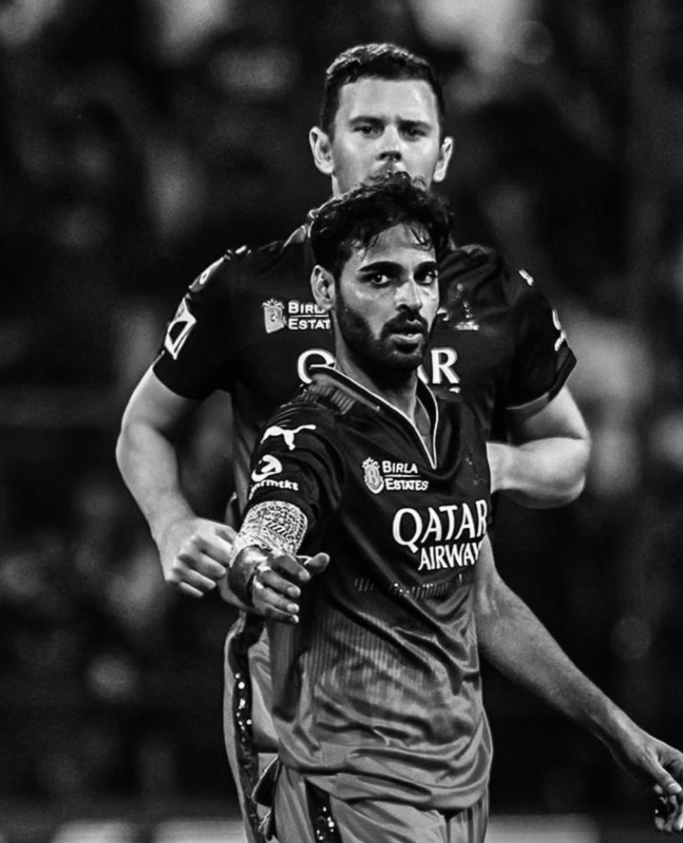 V I P E R tweet media