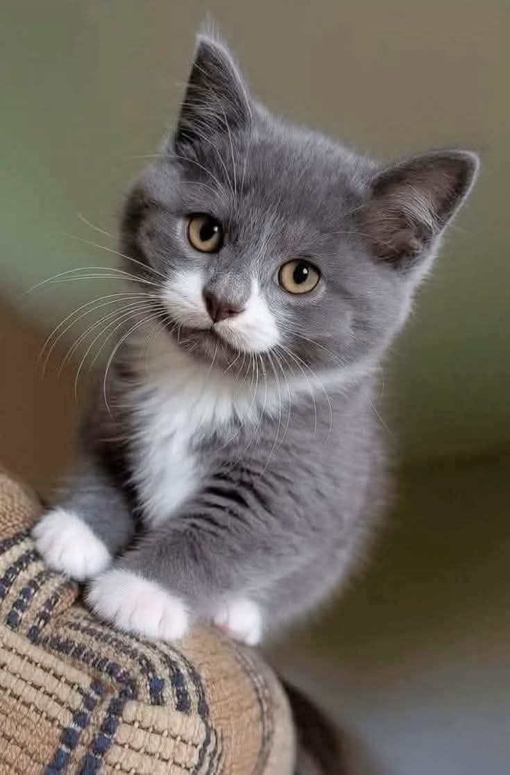 Kristina Bolten tweet media