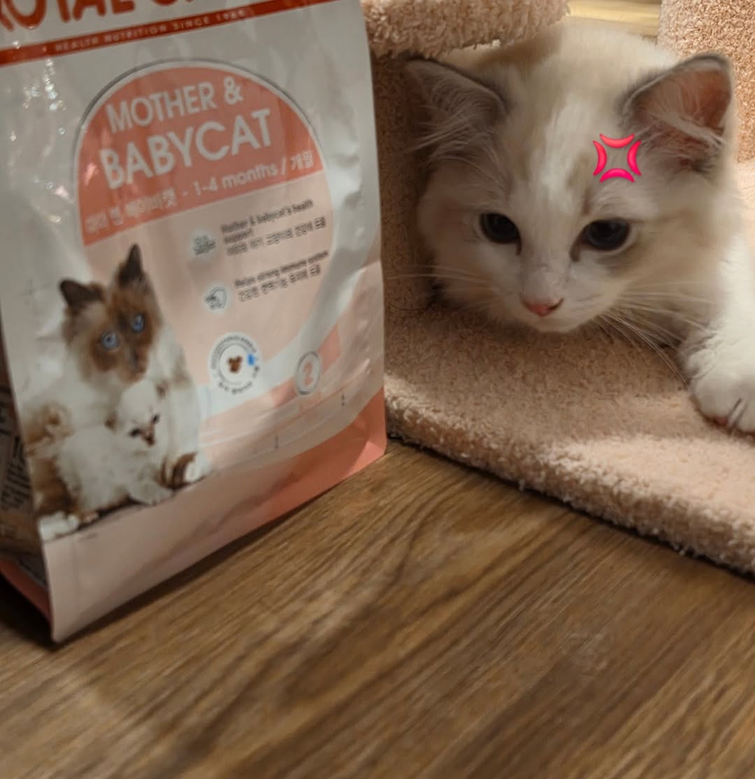 Hirunkit Official Fanclub tweet media