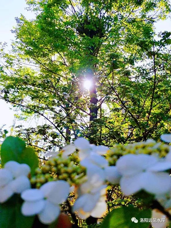 Witchena's tweet image. Chased sunsets on the coast today—wind in hair, salt on skin, and a 10/10 vibe. Seaside Path, X Town | #Wanderlust #SunsetVibes