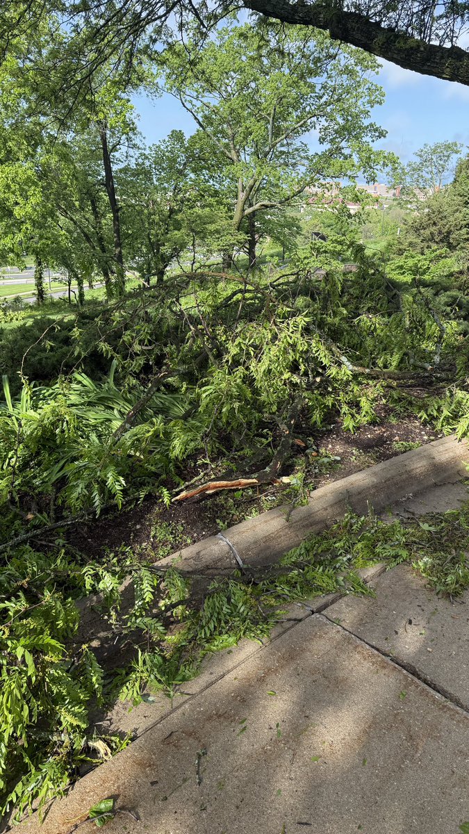 _jackaboi's tweet photo. Found some tree damage this morning in Lawrence just east of KU Campus @NWSTopeka, with some pretty thick branches snapped. Also, found no visible hail damage anywhere on KU campus despite it waking me up at 5am or so. https://t.co/tpkWslssSx