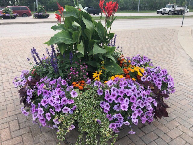 DesertPlanters's tweet image. A Big Shout Out to Jordan Hoff and his team @cityofwinnipeg . The Equinox Desert Planter Manor 74’s look absolutely amazing along the “William R. Clement Parkway”! @DesertPlanters #city #parksandrec  #selfwateringplanter  #landscapes 🇨🇦