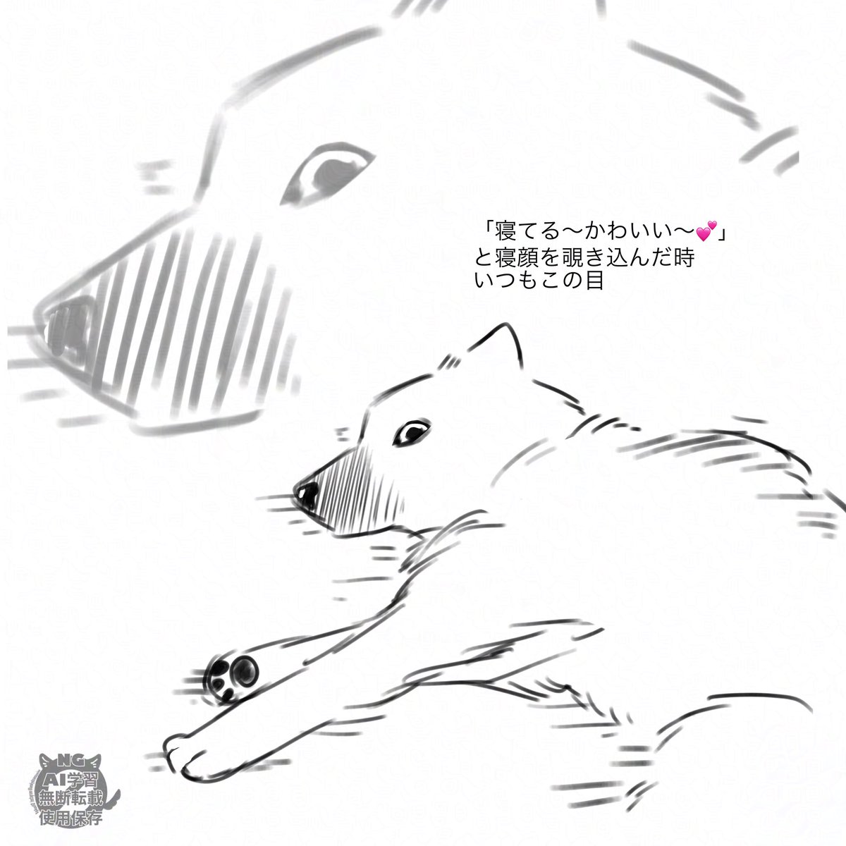 我が家の雑種犬8歳0ヶ月 tweet media